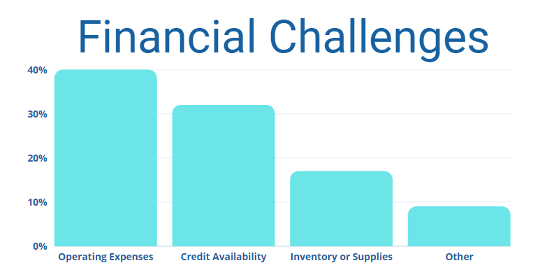 Business Owner Financial Challenges